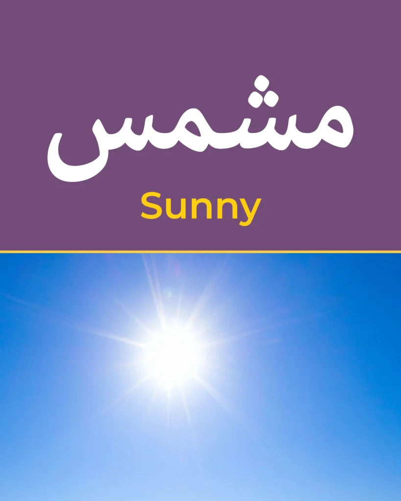 How to Use Flashcards to Teach Kids Arabic Vocabulary-2