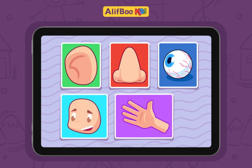 الحواس الخمس للأطفال 3