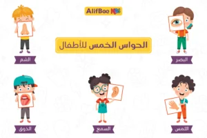 مدونة AlifBee للأطفال 1 الحواس الخمس للأطفال