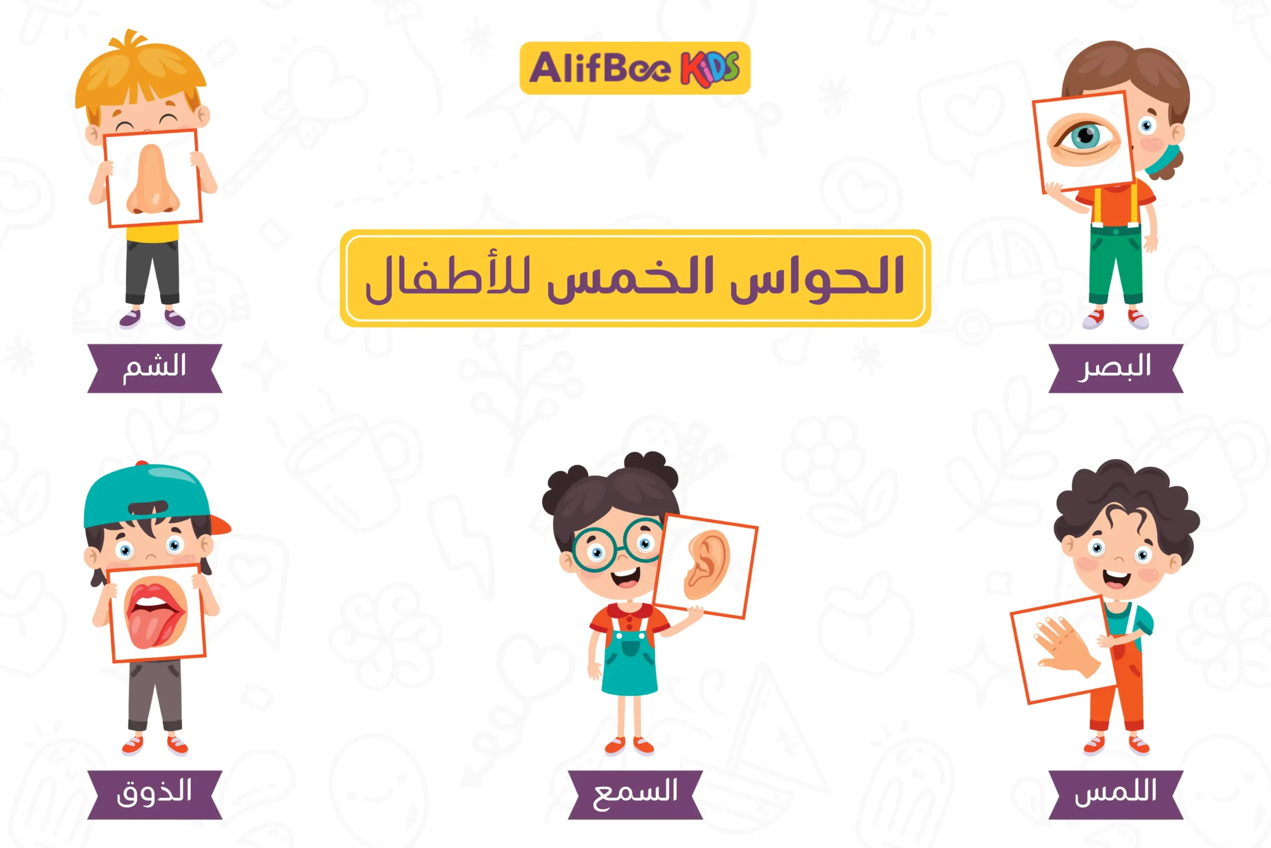 الحواس الخمس للأطفال