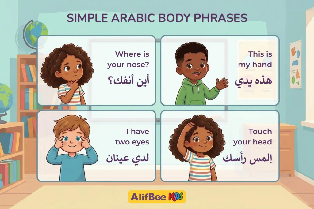 parts of the body in Arabic