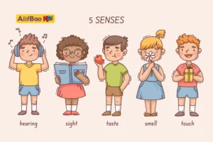 AlifBee Kids Blog 1 The Five Senses in Arabic
