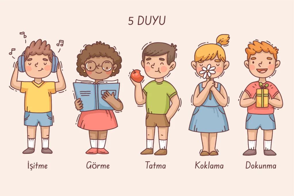 Beş Duyu